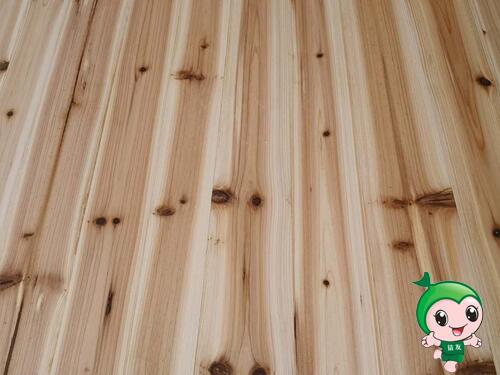 上海沃铭木业带你了解江西生态板的外观和表面